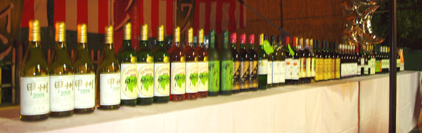 笛吹市ワイン会12社23種類のヌーボー