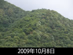 こがね色の落葉松定点2009年10月8日