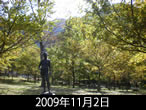 佐和子さんの秋定点2009年11月2日