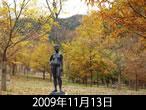 佐和子さんの秋定点2009年11月13日