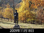 佐和子さんの秋定点2009年11月18日