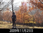 佐和子さんの秋定点2009年11月25日
